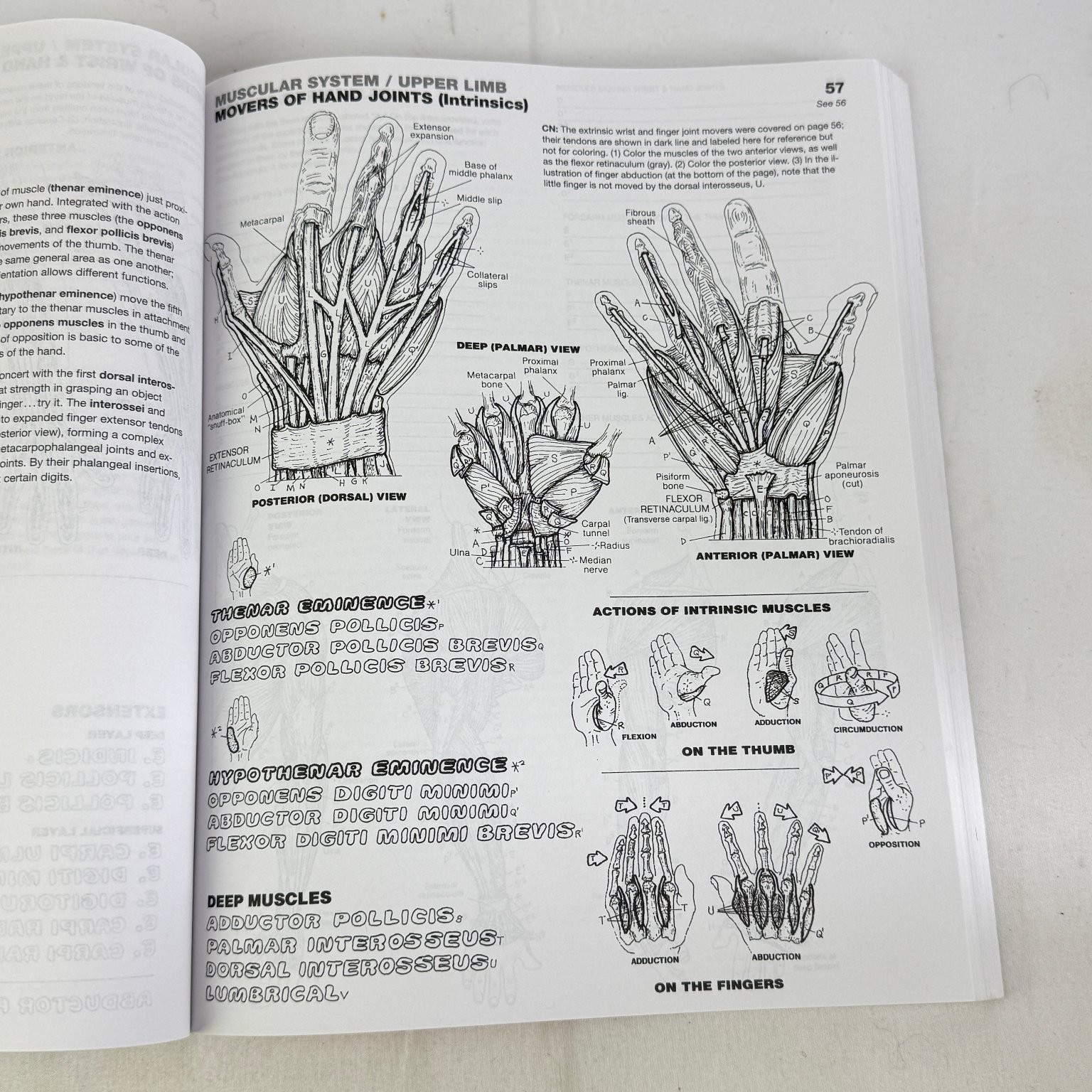 The Anatomy Coloring Book Kapit Elson Textbook Anatomy Physiology 4th Ed 2013