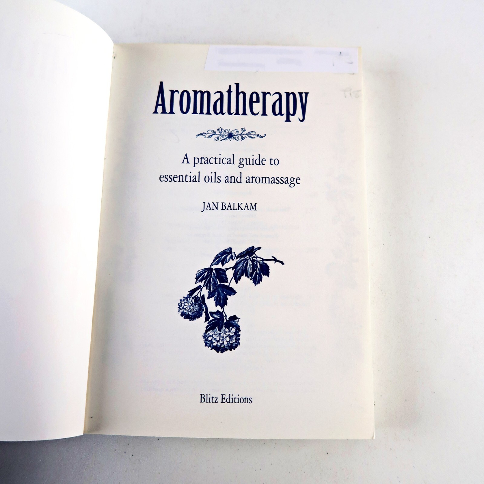 Aromatherapy by Jan Balkam (Paperback, 1994)