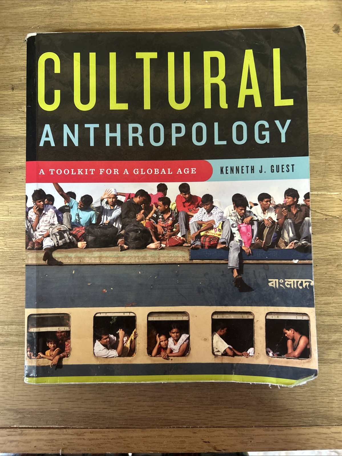 Cultural Anthropology : A Toolkit for a Global Age by Kenneth J. Guest (2013,…