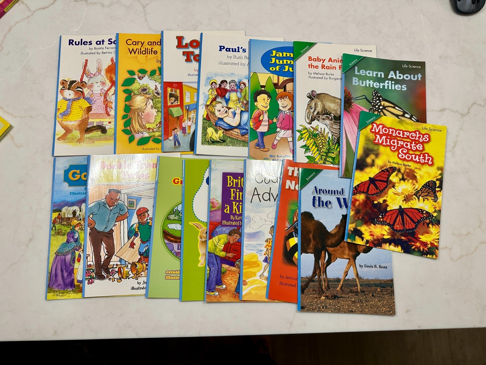 Pearson Scott Foresman Grade 1 Leveled Readers Lot of 16 Science, fiction,