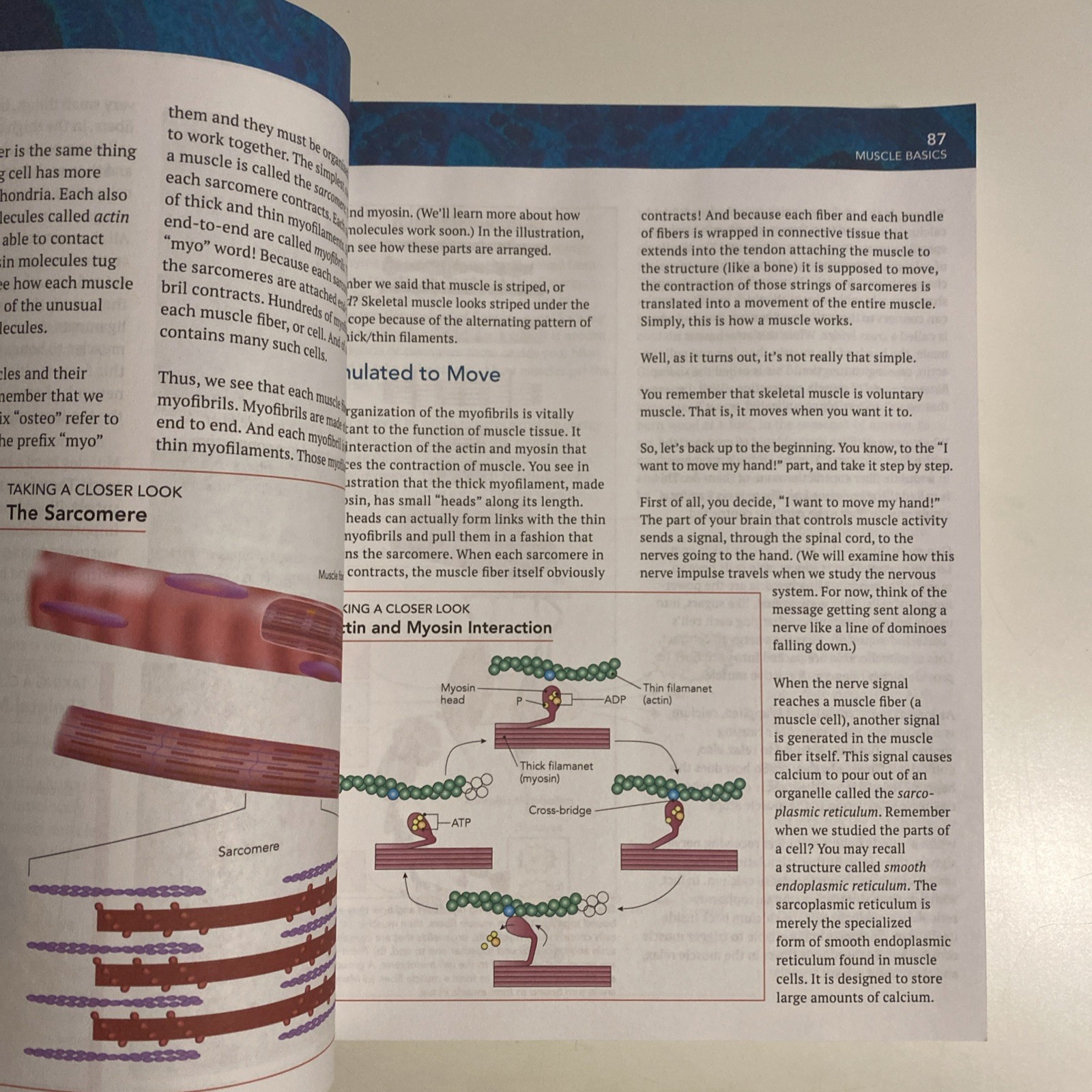 Master Books INTRODUCTION TO ANATOMY and PHYSIOLOGY I Curriculum Pack