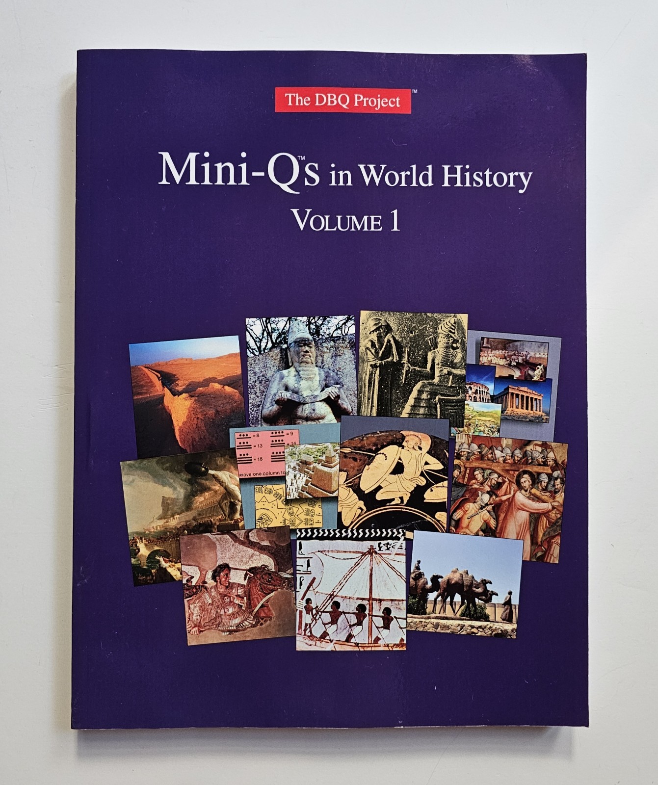 The DBQ Project MINI-QS IN WORLD HISTORY, VOLUME 1 By Roden & Brady Excllnt