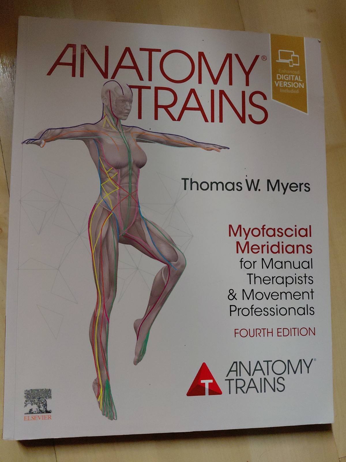 Anatomy Trains by Thomas W. Myers