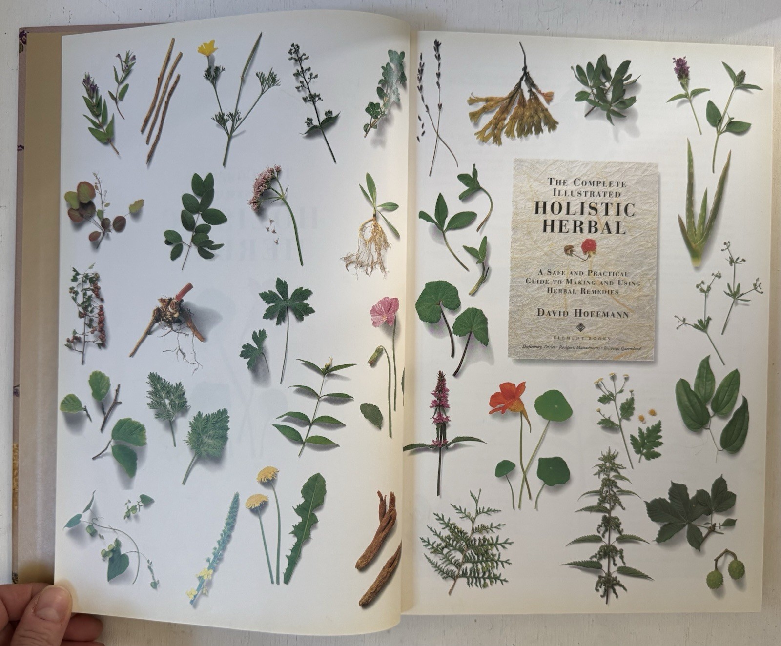 Complete Illustrated Holistic Herbal A Safe Practical Guide Remedies Hoffman