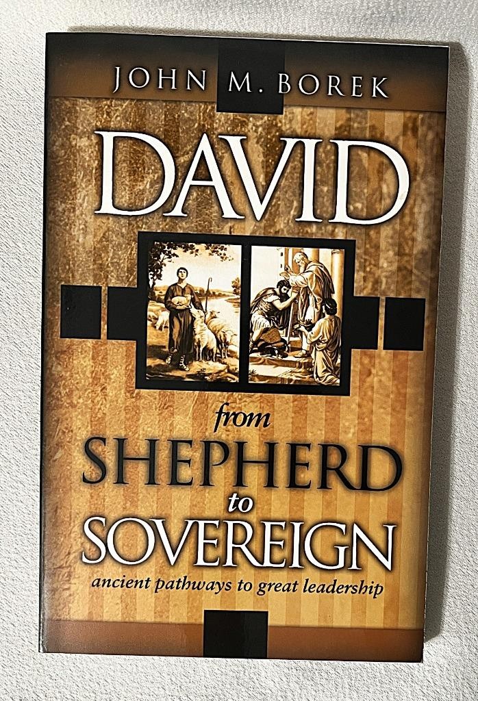 DAVID FROM SHEPHERD TO SOVEREIGN JOHN M BOREK 2004 PAPERBACK BOOK 240 PAGES