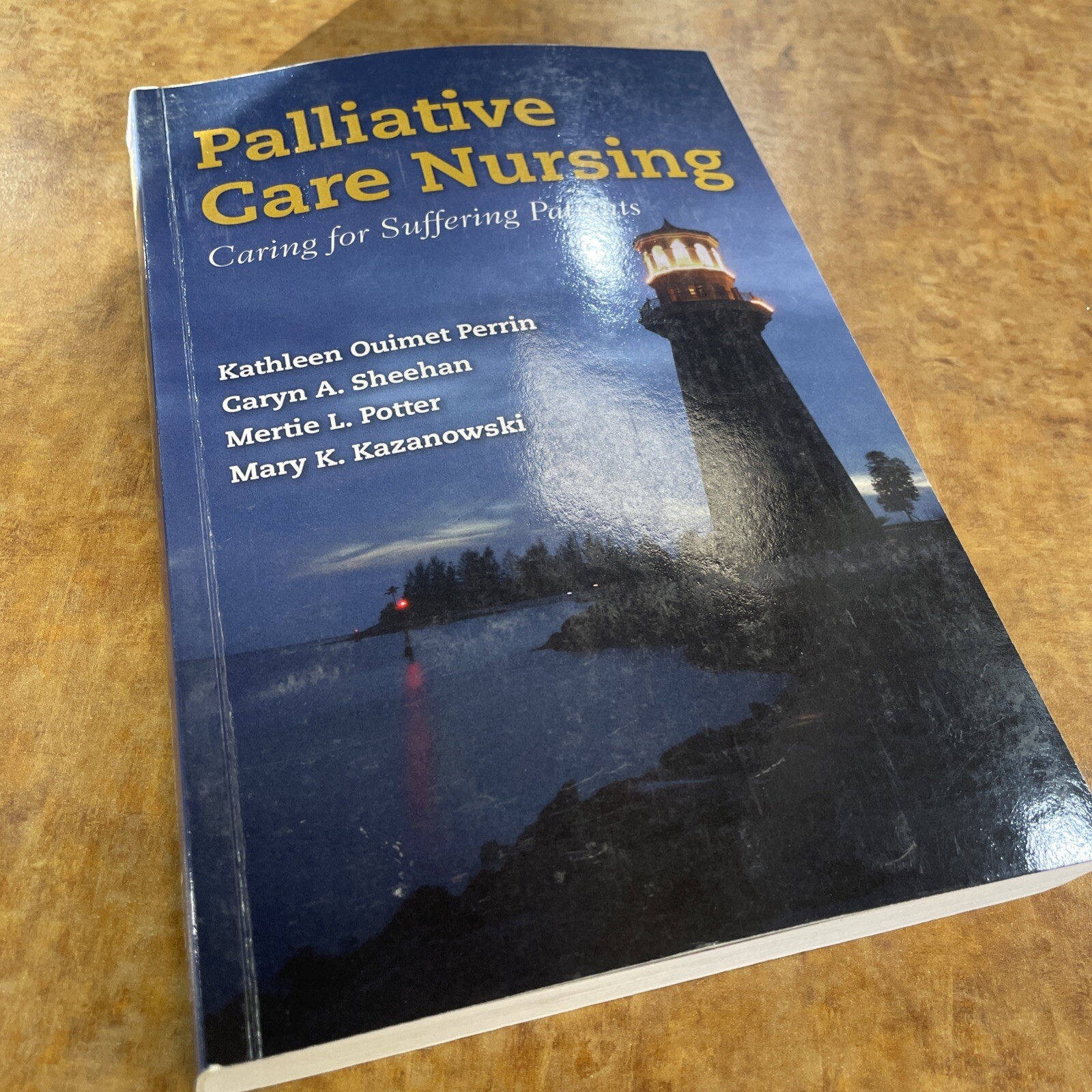 Palliative Care Nursing: Caring for Suffering Patients – Paperback – Very Good