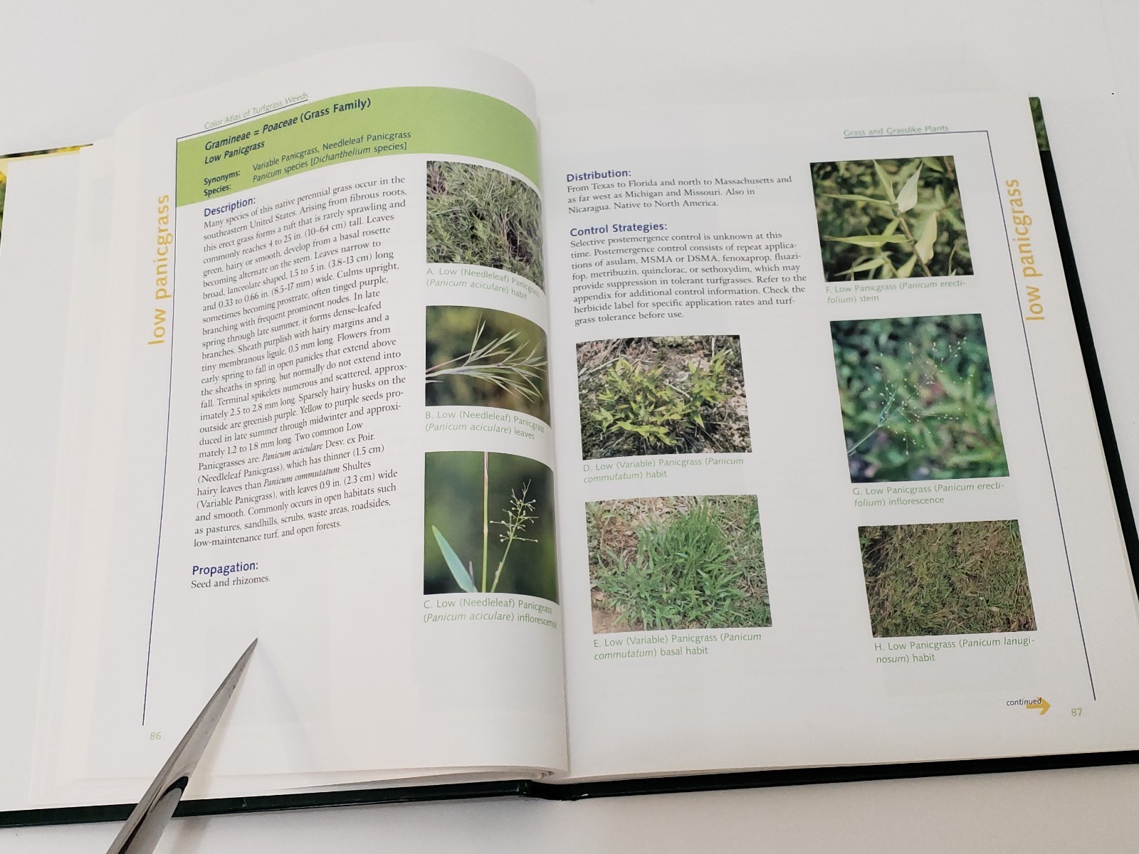 Color Atlas of Turfgrass Weeds Second Edition – NO CD – Hardcover Identification
