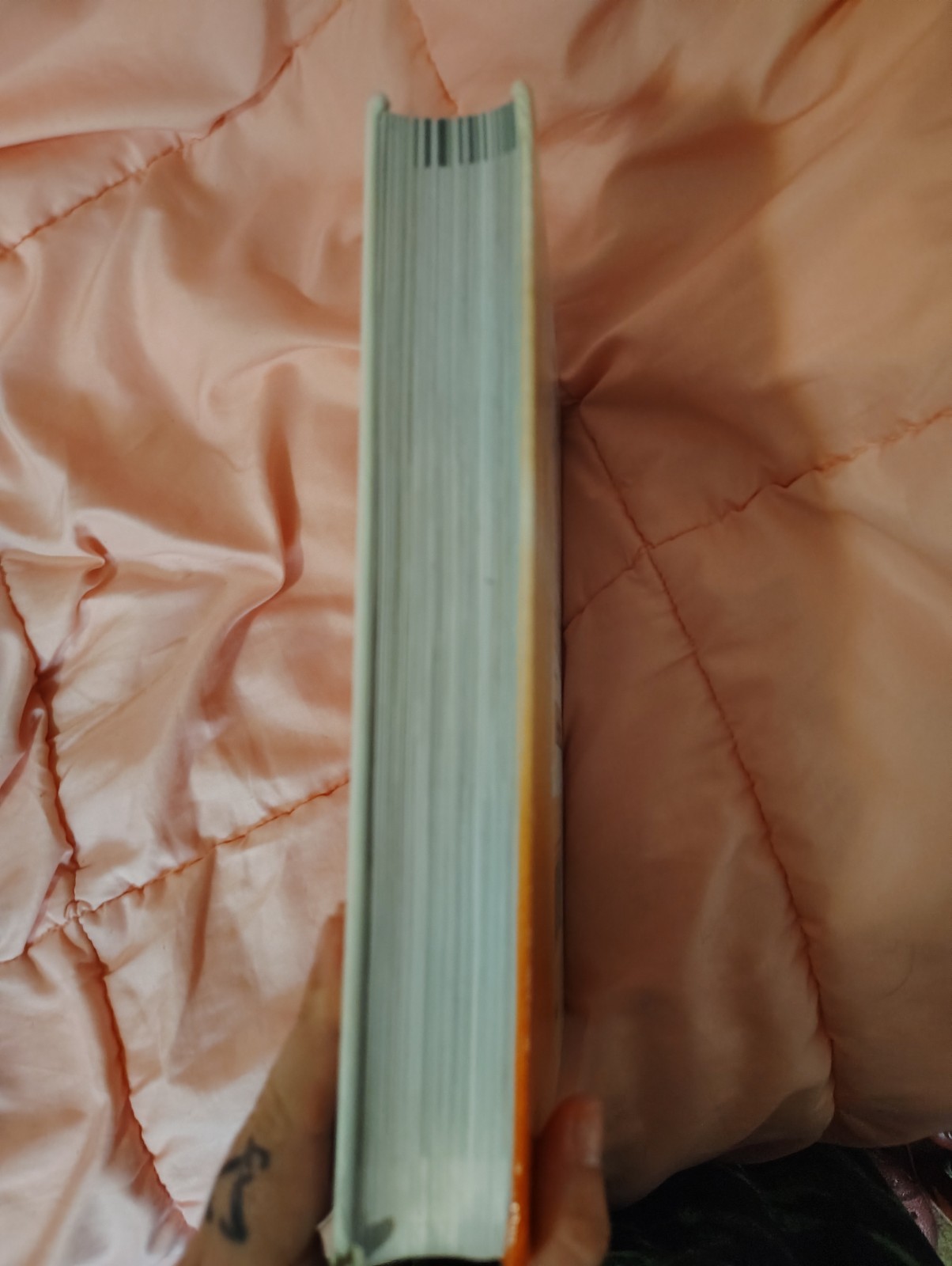 milady standard cosmetology 14th edition Textbook