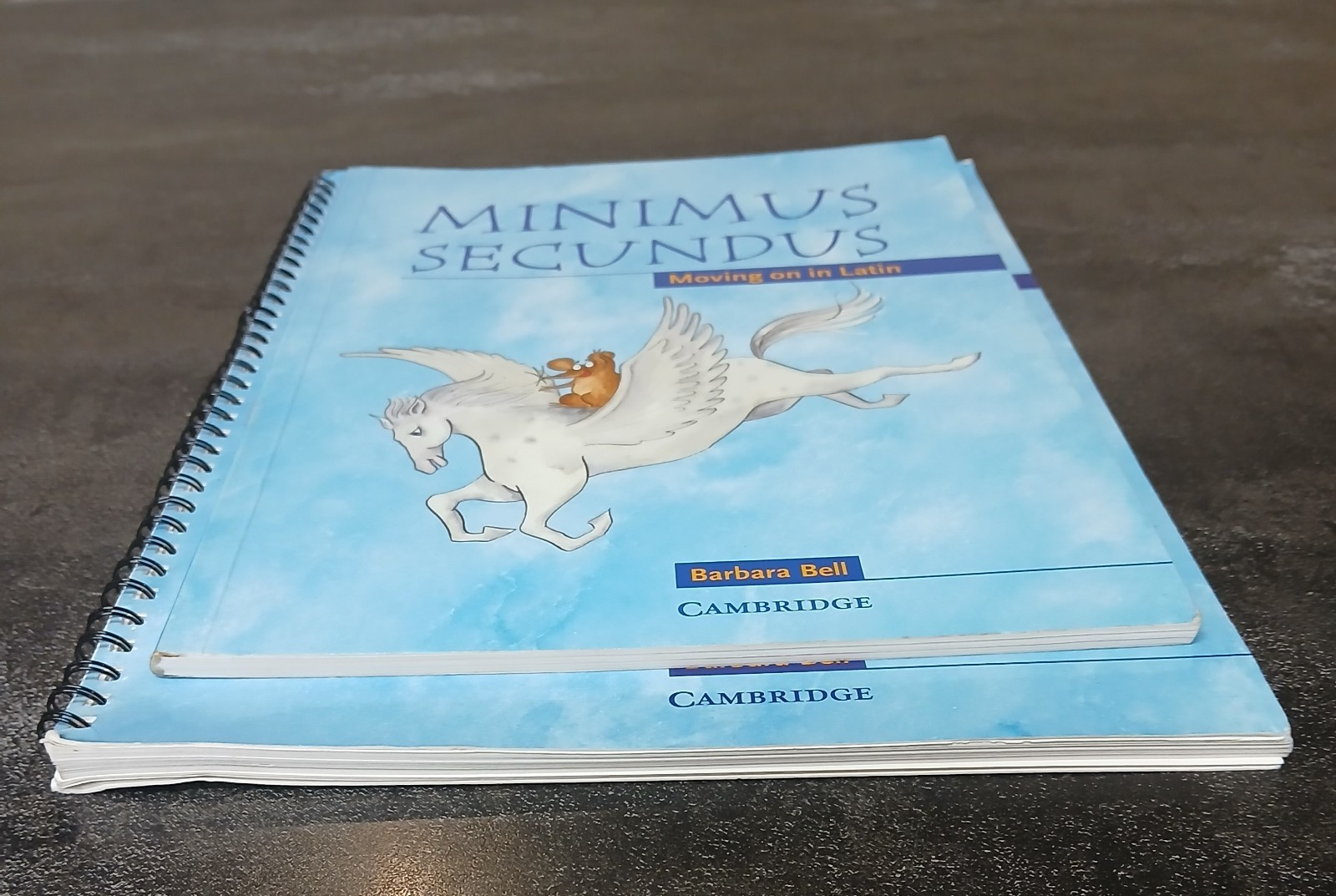 Minimus Secundus Teacher’s Resource and Student Book: Moving on in Latin