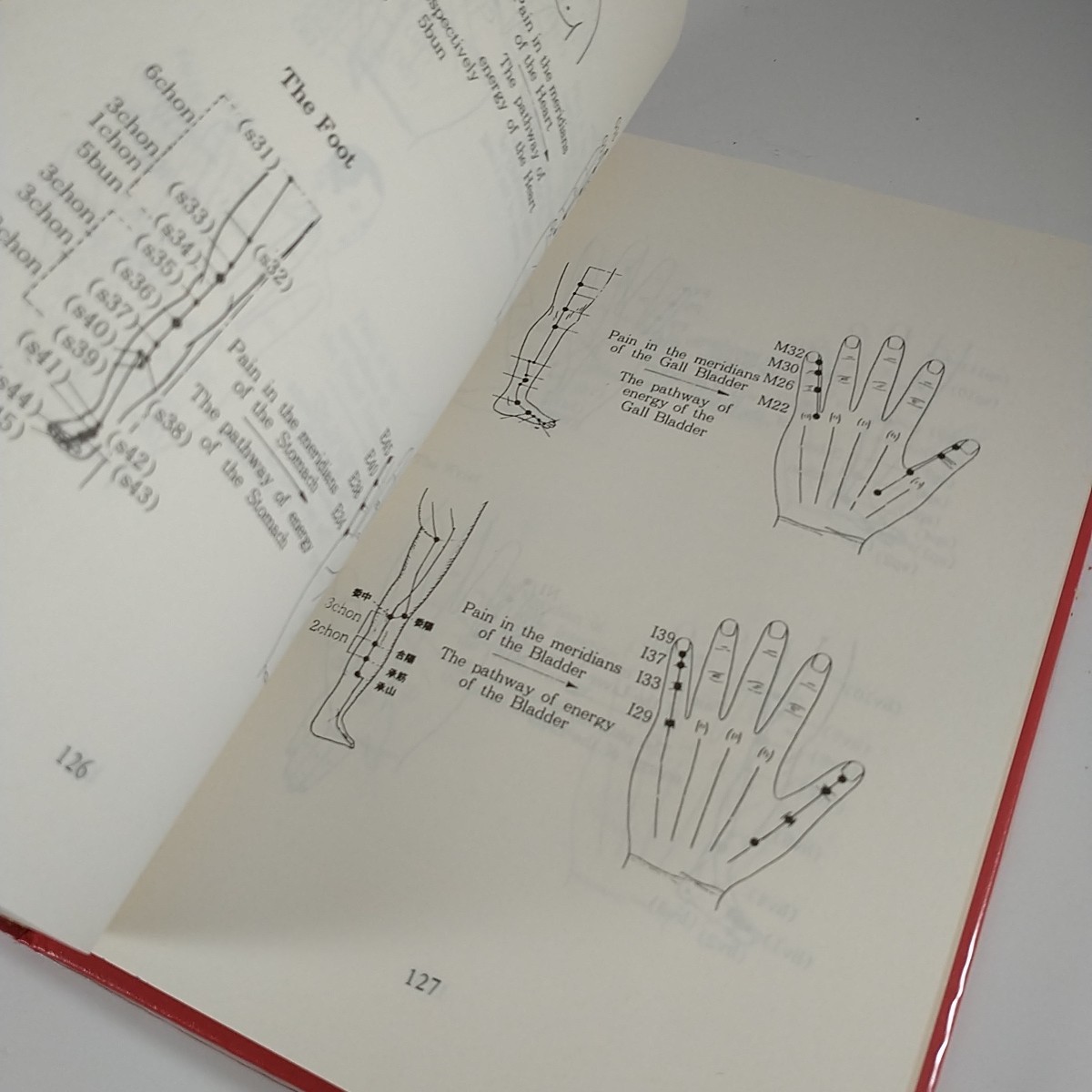 Korean Acupuncture Book Koryo Hand Therapy – Tae Woo Yoo – Illustrated