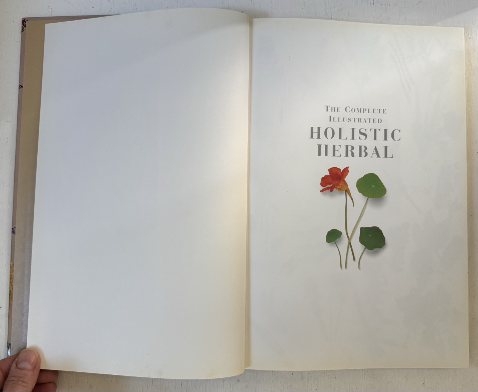 Complete Illustrated Holistic Herbal A Safe Practical Guide Remedies Hoffman