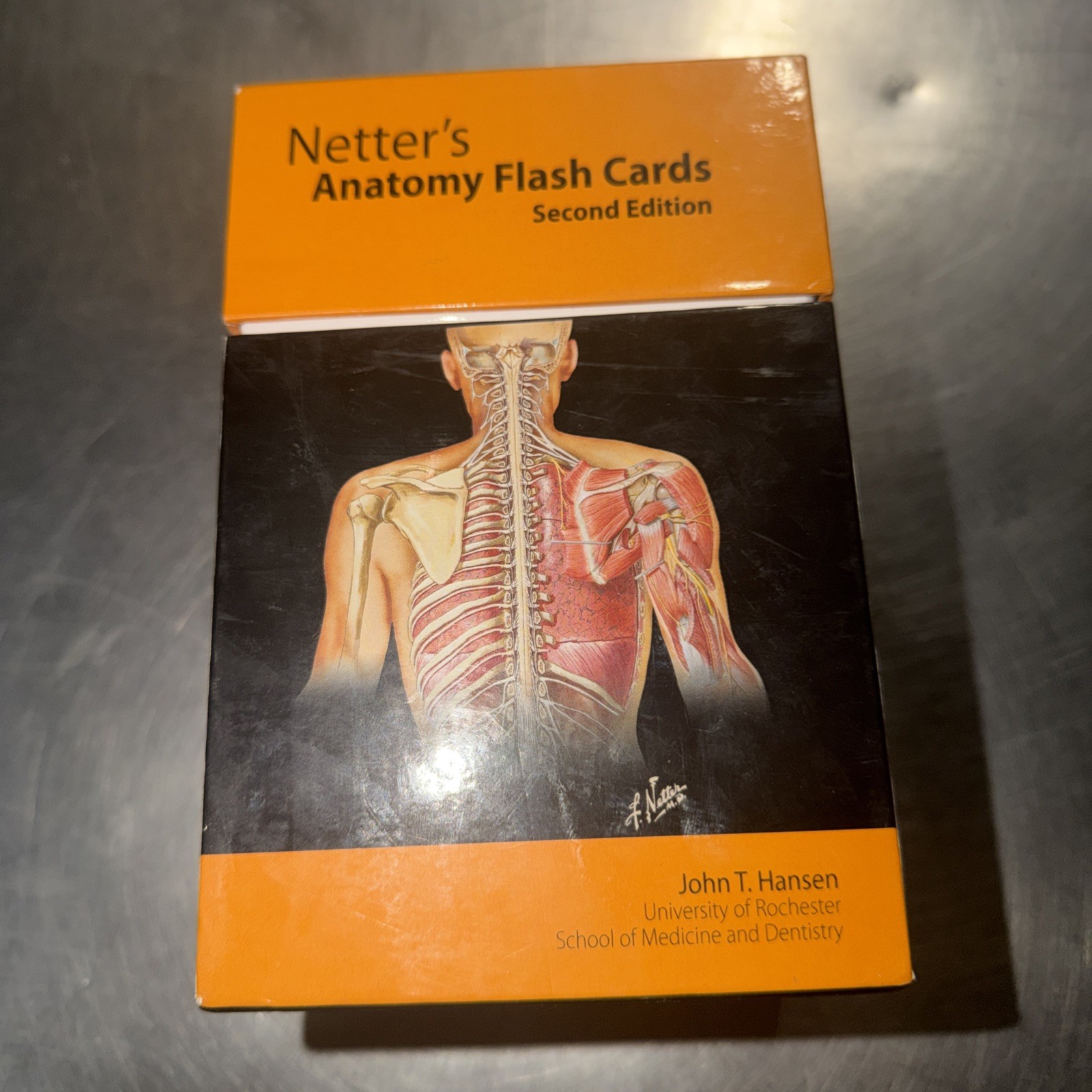 Netter Basic Science Ser.: Netter’s Anatomy by John T. Hansen (2006, Cards,Flash
