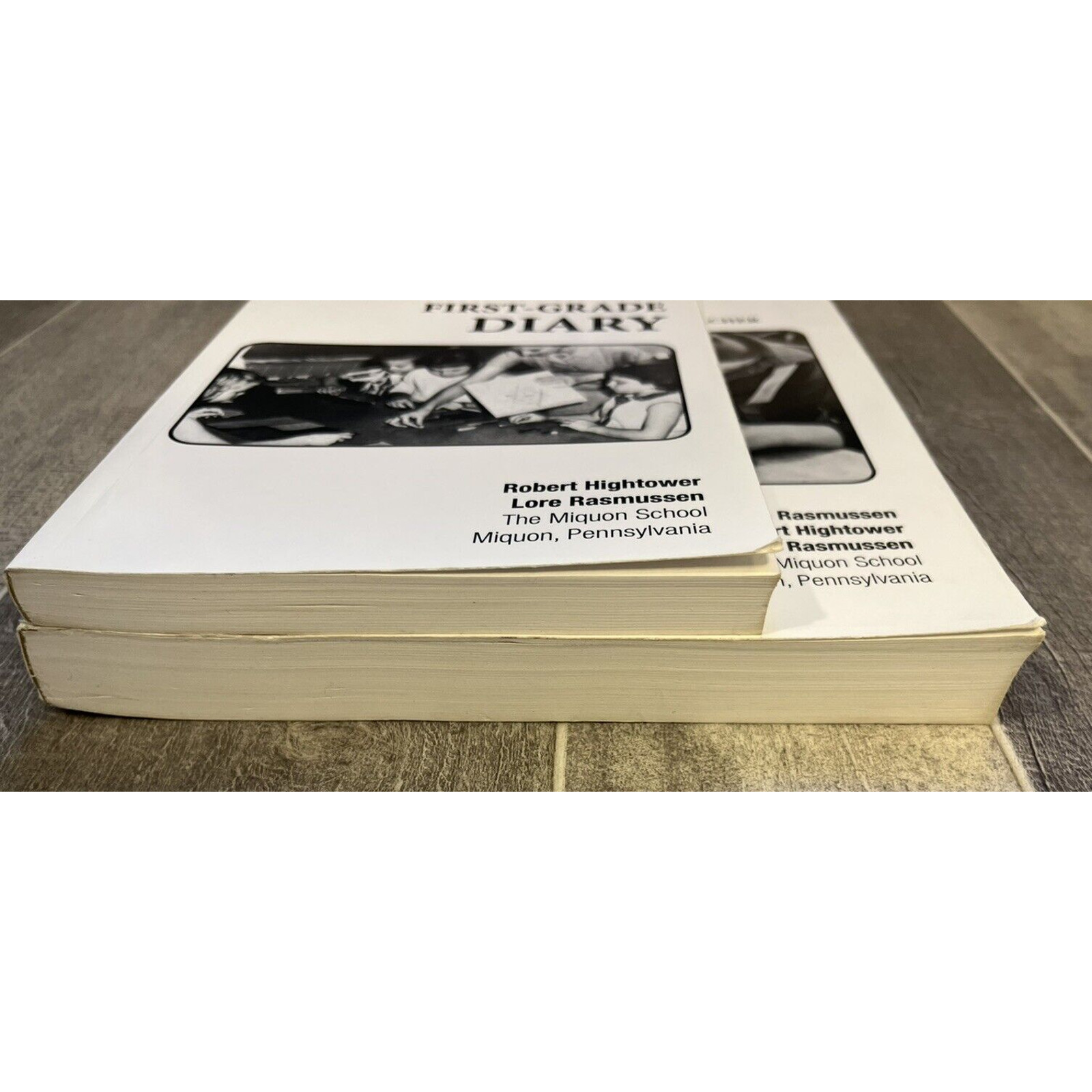 Miquon Math Lab Sheet Annotations and First Grade Diary Homeschool Curriculum