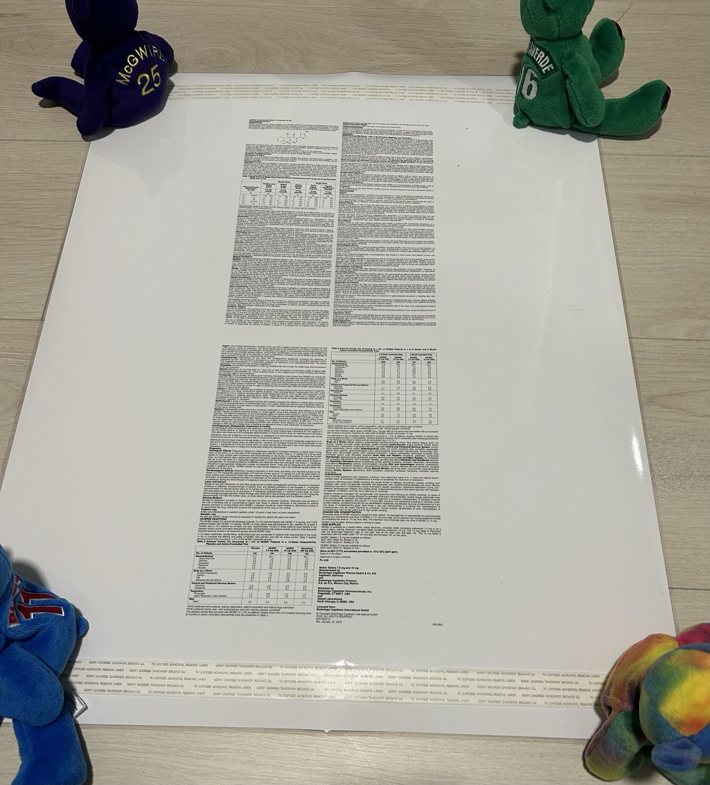 Mobic Osteoarthritis Medical Laminated Diagram 22×28 Educational Poster NIP
