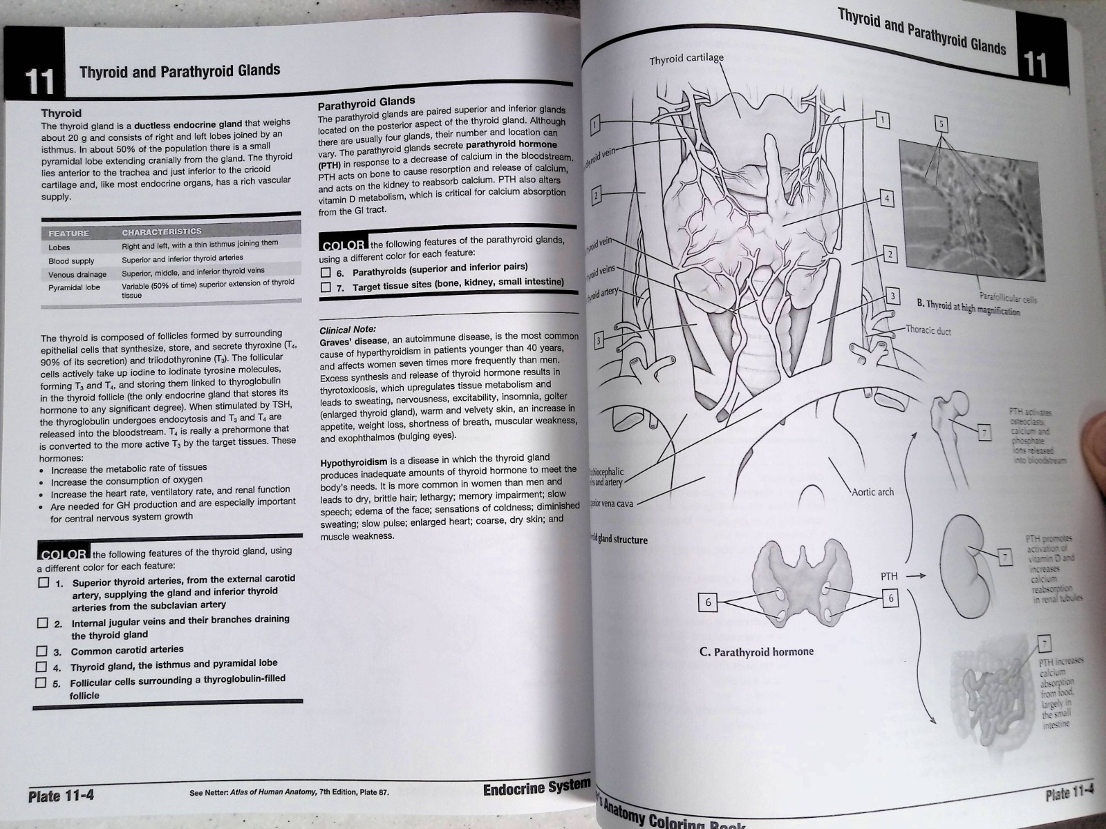 Netter’s Anatomy Coloring Book by – John T. Hansen, 2nd Ed, Large Paperback 2018
