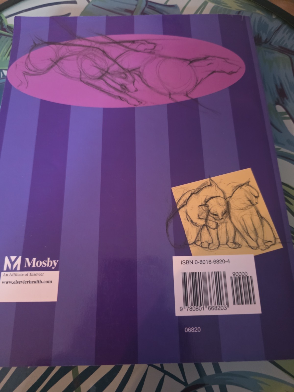 Clinical Behavioral Medicine For Small Animals, 1e – Paperback Book