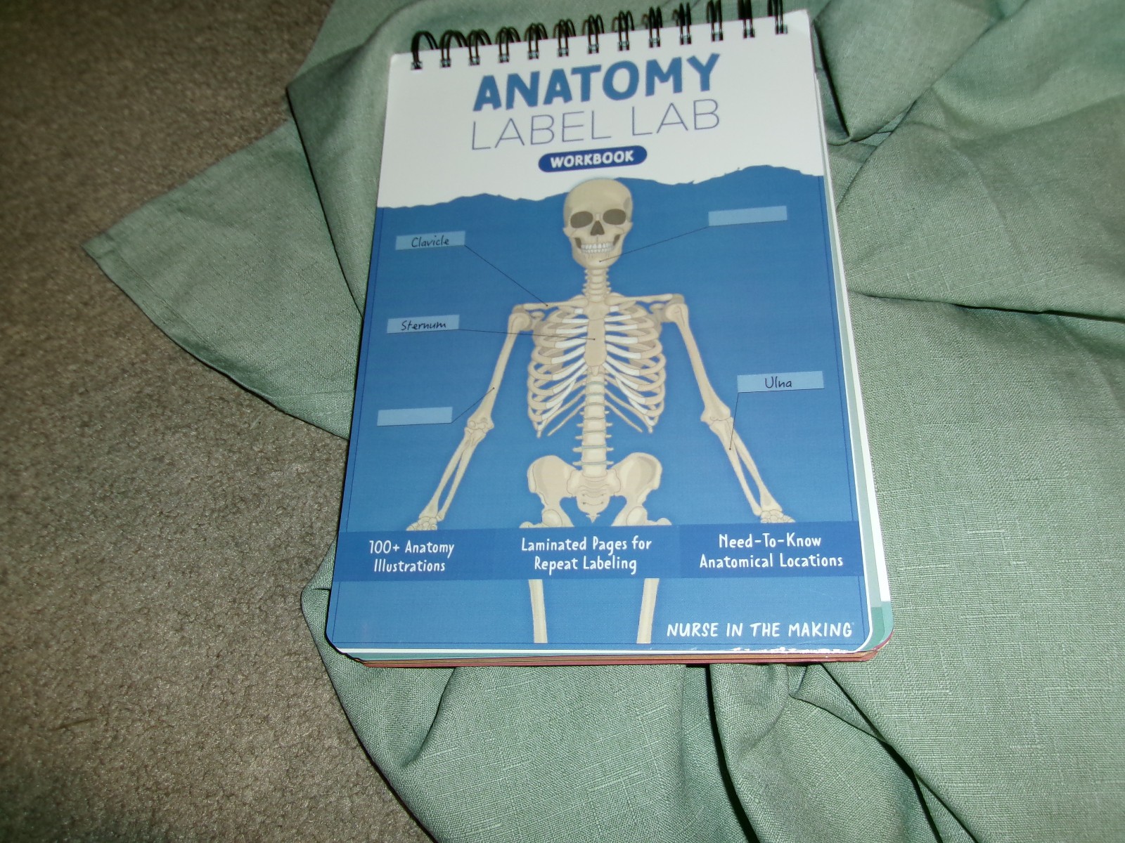 Nurse In The Making Anatomy Label Lab Workbook Laminated Spiral Read Details np
