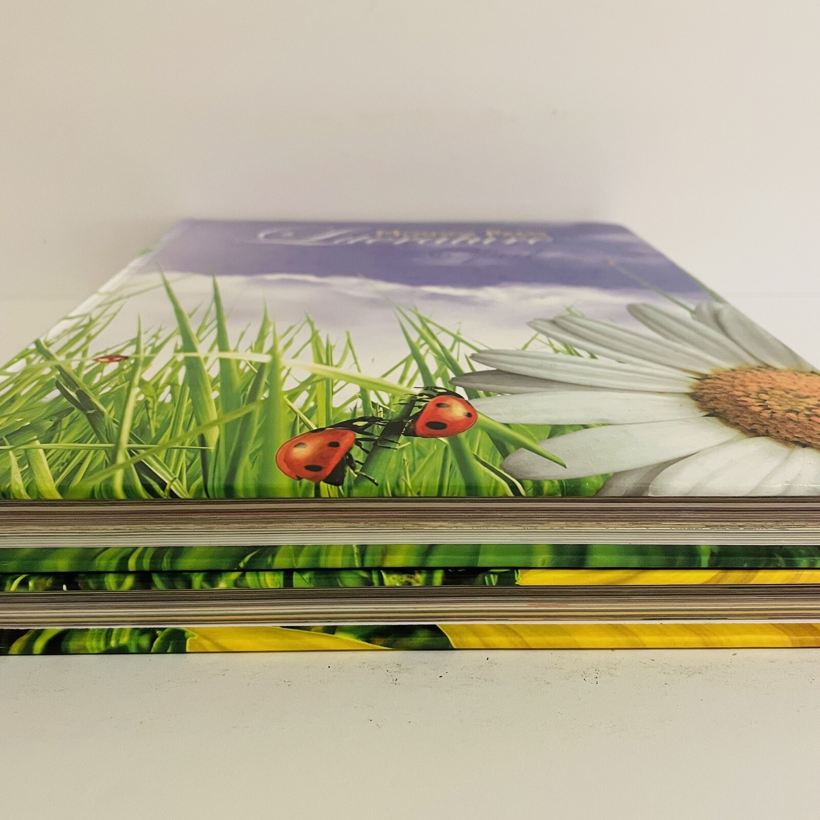 Mosdos Press Literature Opal Textbook Lot of 2 Student Hardcover Texts 3rd Grade