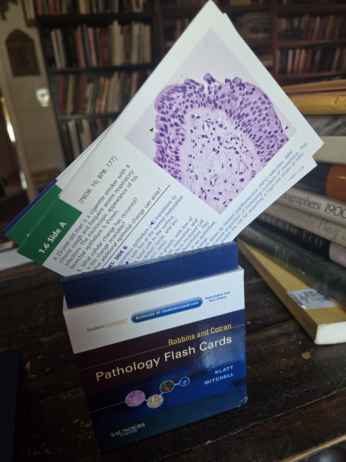Robbins and Cotran Pathology Flash Cards Boxed Set