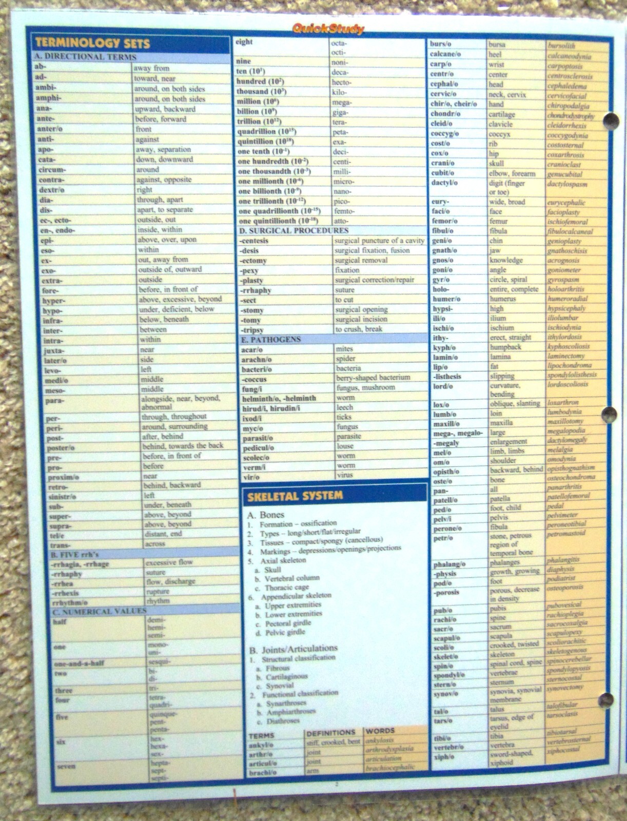 MEDICAL TERMINOLOGY THE BODY ~QUICK STUDY TRI-FOLD LAMINATED REFERENCE GUIDE-NEW