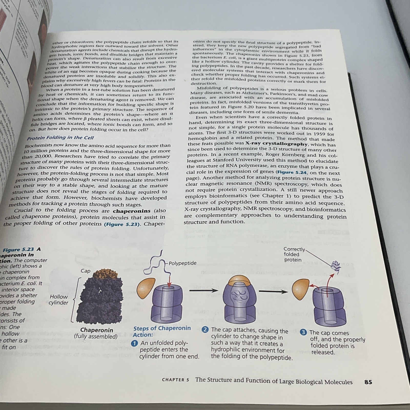 Campbell Biology (ninth Edition) – Hardcover, by Reece, Urry, Cain, 2011 Pearson