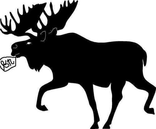 Surviving the Unexpected Wilderness Emergency : A Text for Body M