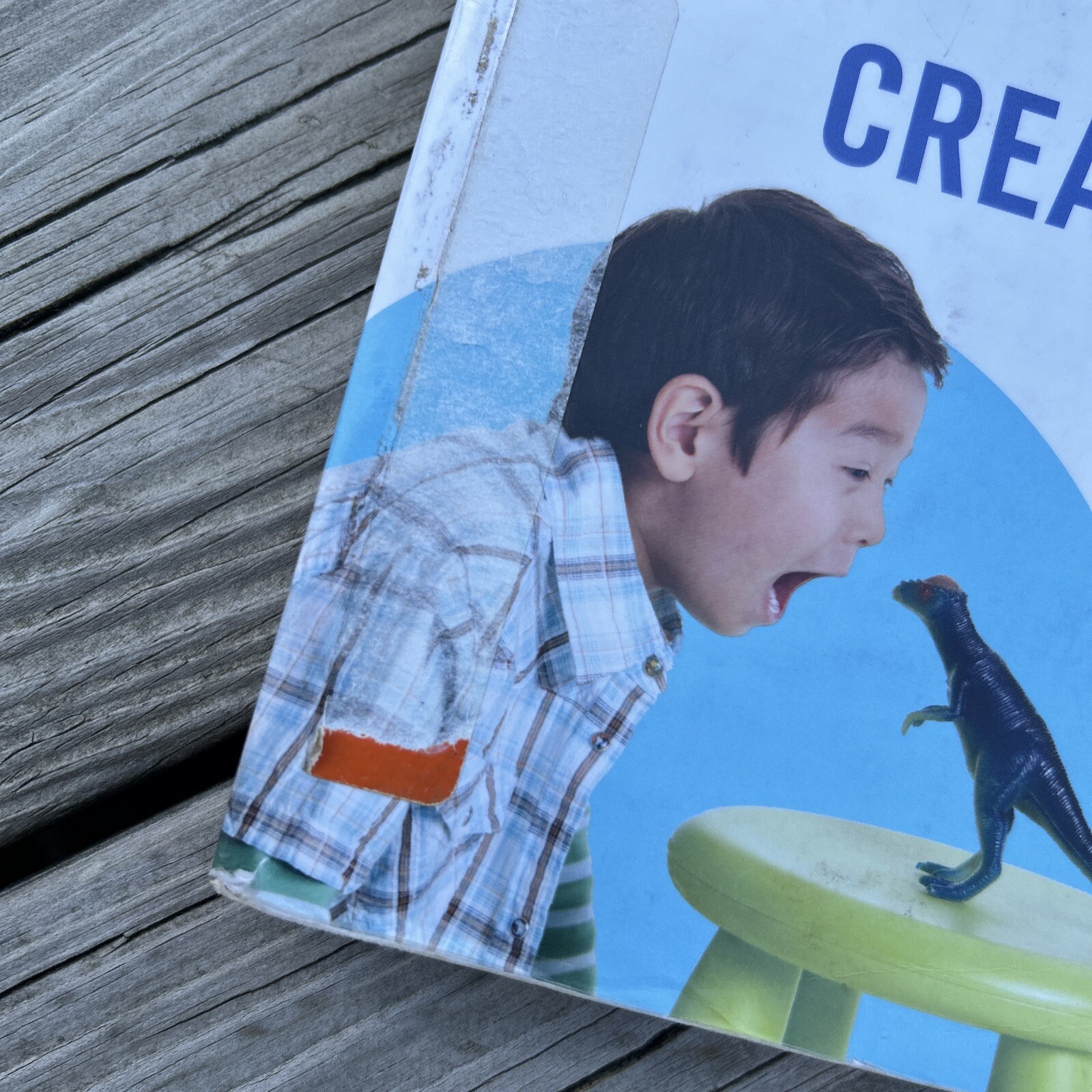 Creative Activities and Curriculum for Young Children 11th Eleventh Edition