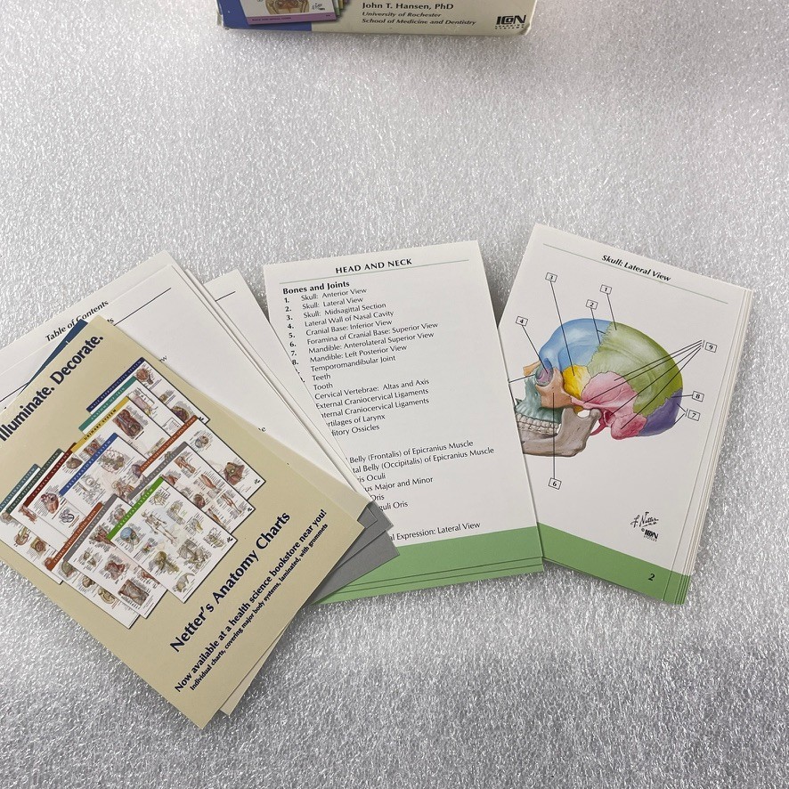 Netter’s Anatomy Flash Cards by John T. Hansen – Complete 331 Card Set – Medical