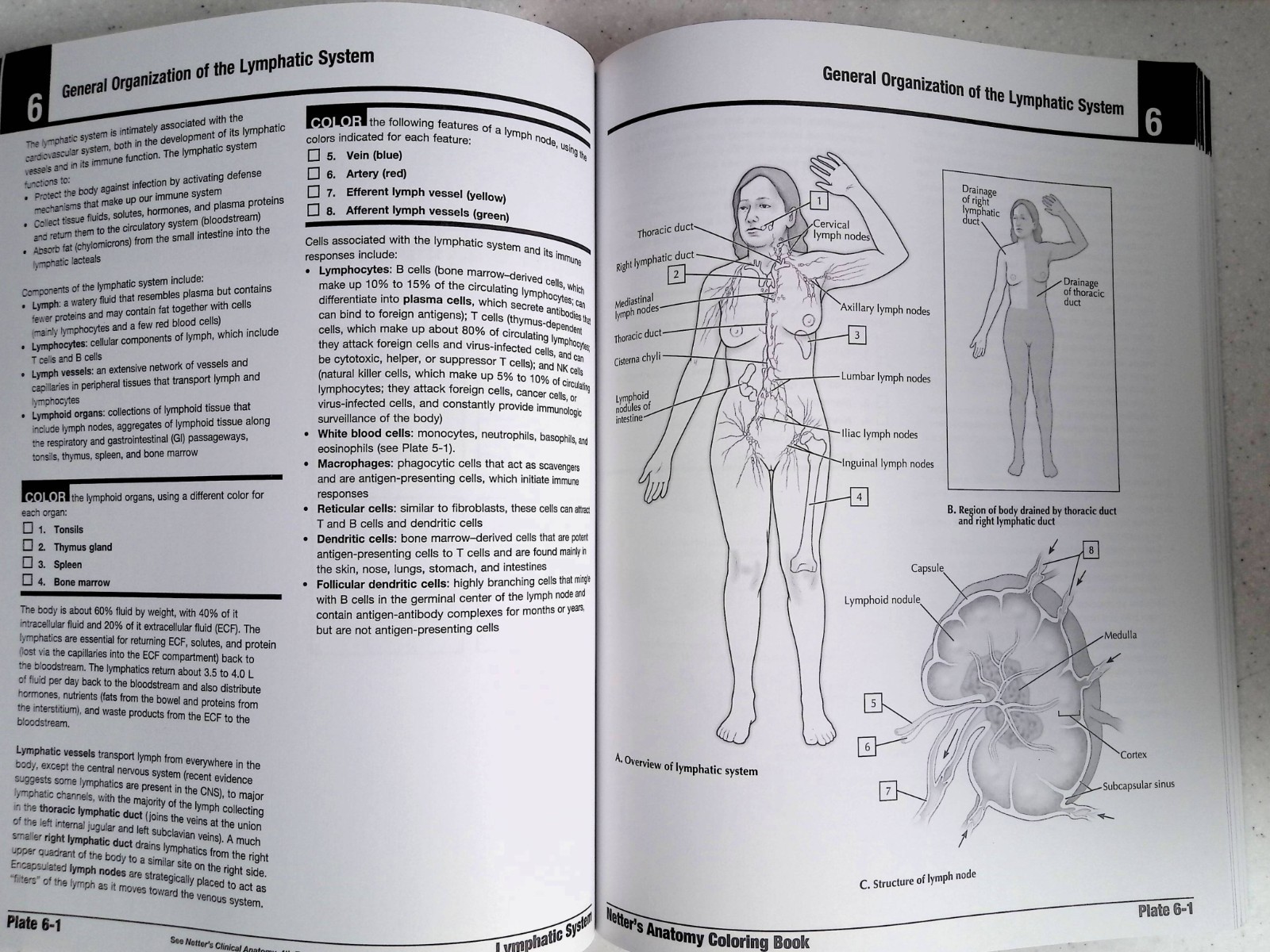 Netter’s Anatomy Coloring Book by – John T. Hansen, 2nd Ed, Large Paperback 2018