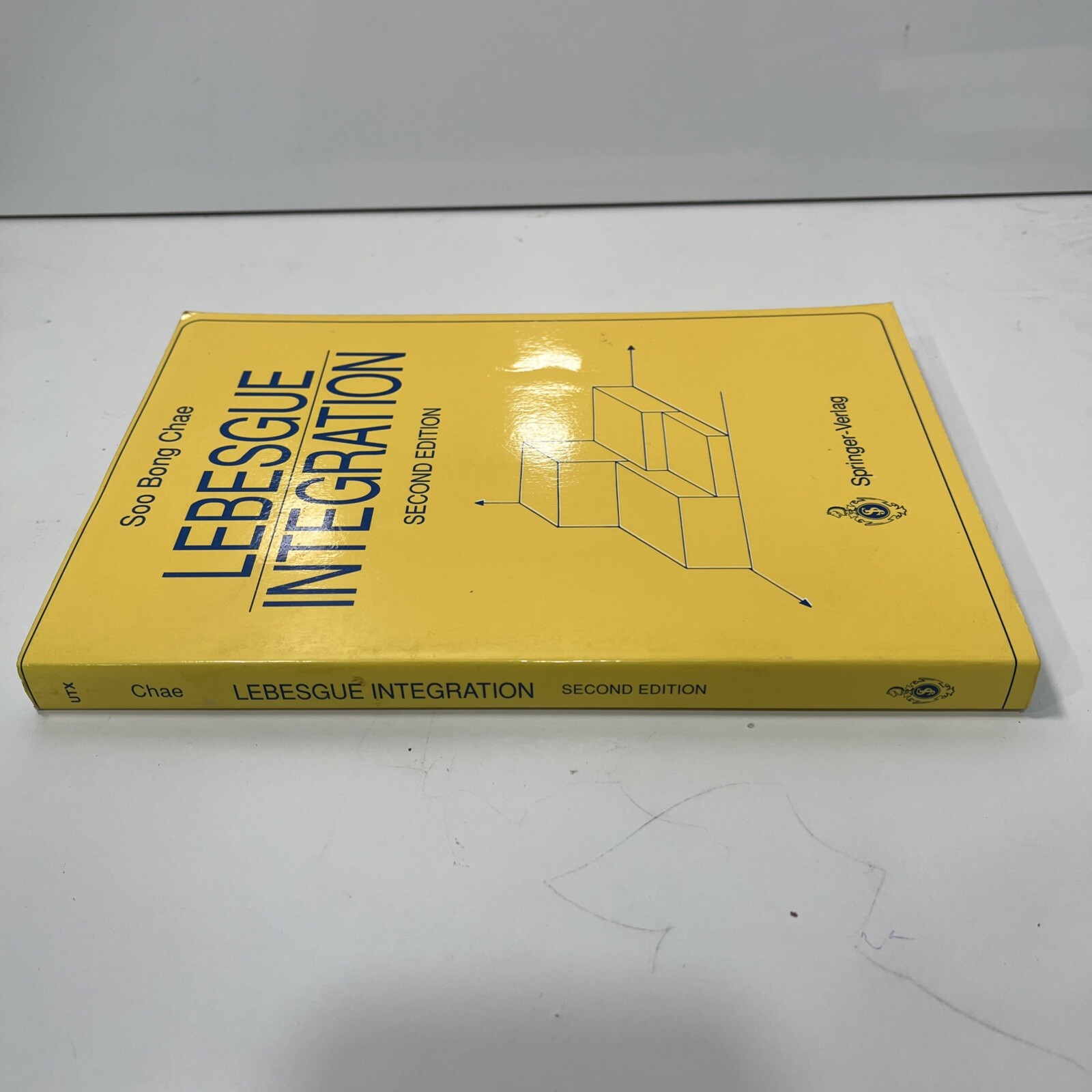 Lebesgue Integration, Paperback by Chae, Soo Bong, 2nd Edition Springer – Verlag