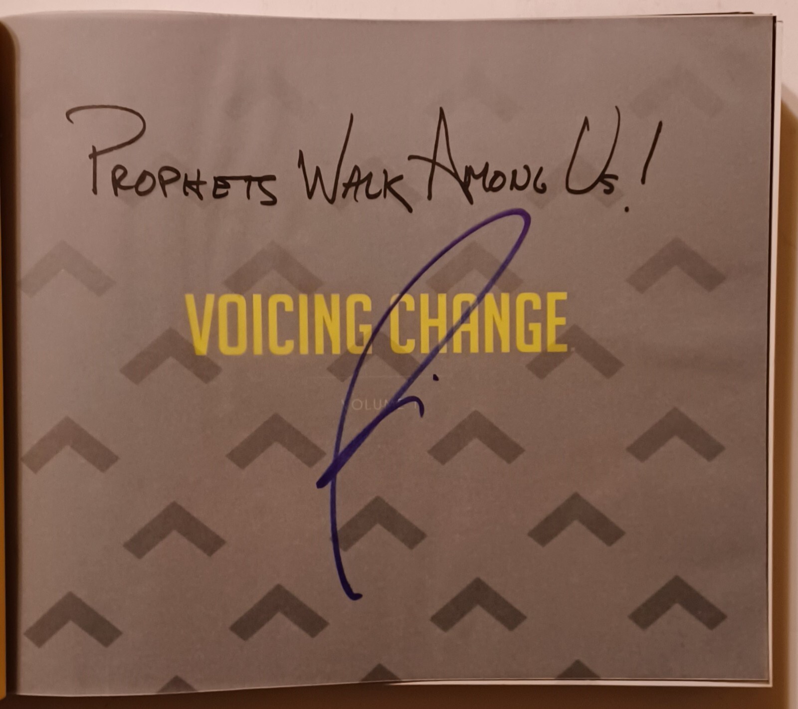 VOICING CHANGE – RICH ROLL PODCAST – HARDBACK BOOK – AUTOGRAPHED – 288 PAGES
