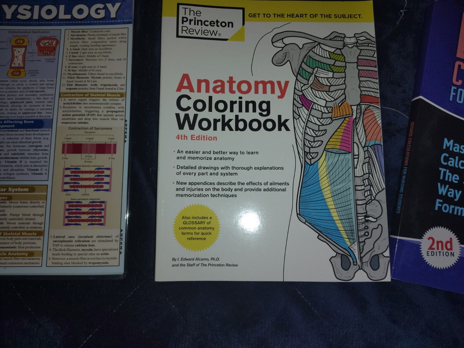 Nursing Student Book Bundle physiology Guide, Anatomy Coloring Workbook, Dosage