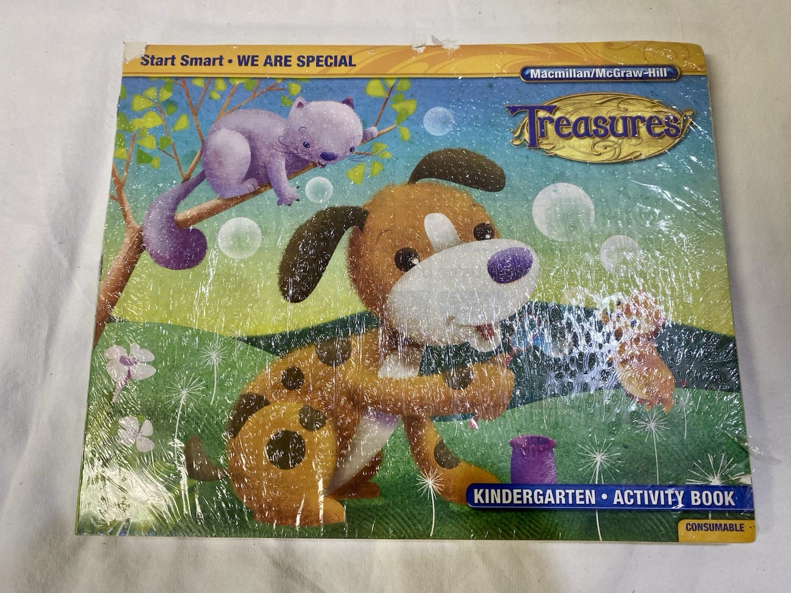 Treasures: Kindergarten Activity Books Units 1-10 + Start Smart ‘WE ARE SPECIAL’