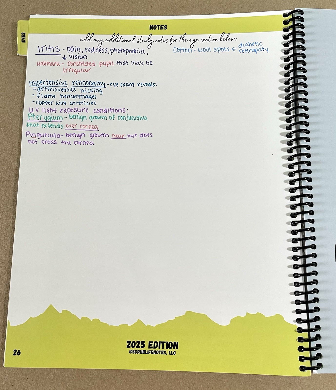 Family Nurse Practitioner: Board Prep Study Guide, 2025 Edition, ScrubLifeNotes