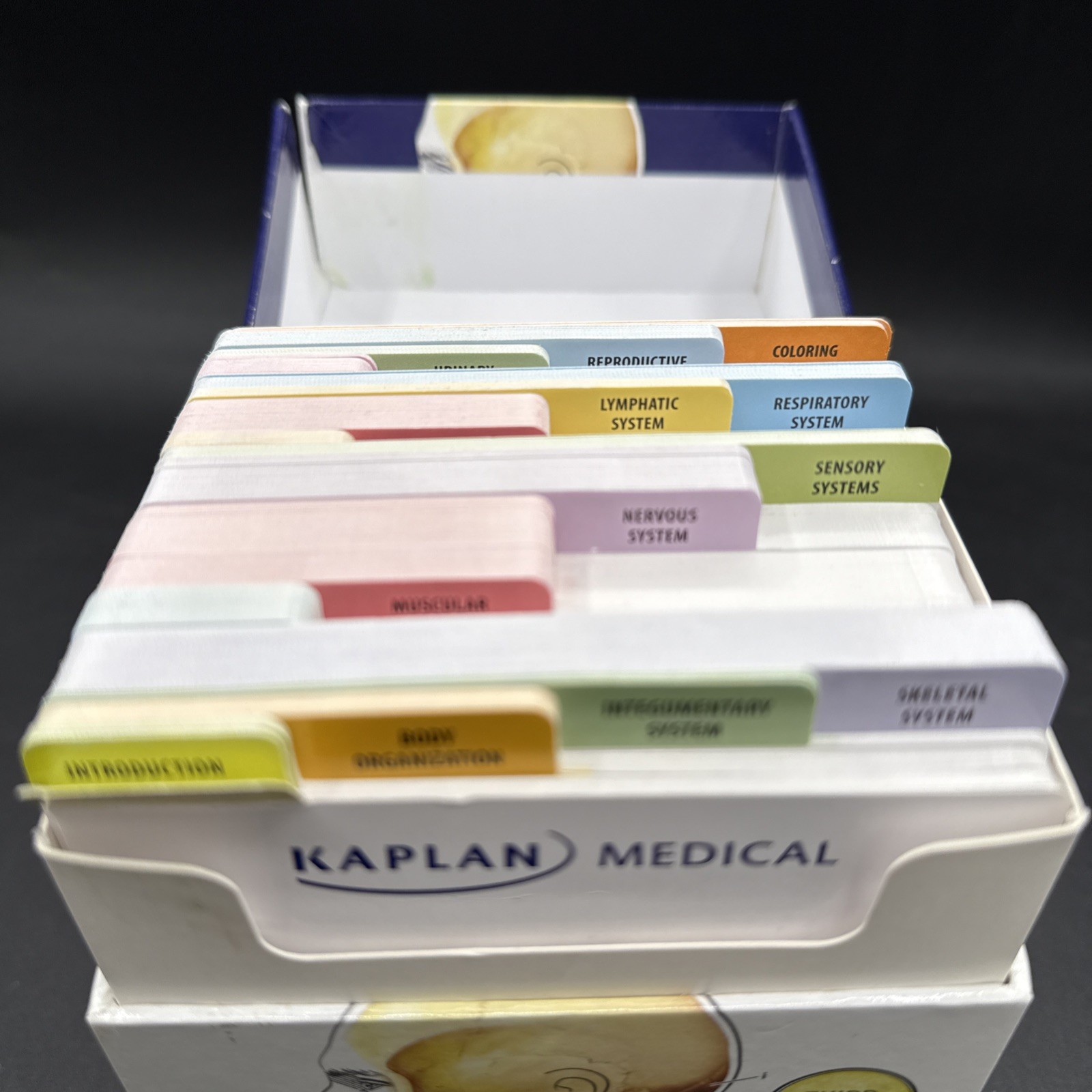Anatomy Flashcards by Joanne Tillotson 2017 Cards Flash Cards Kaplan Medical