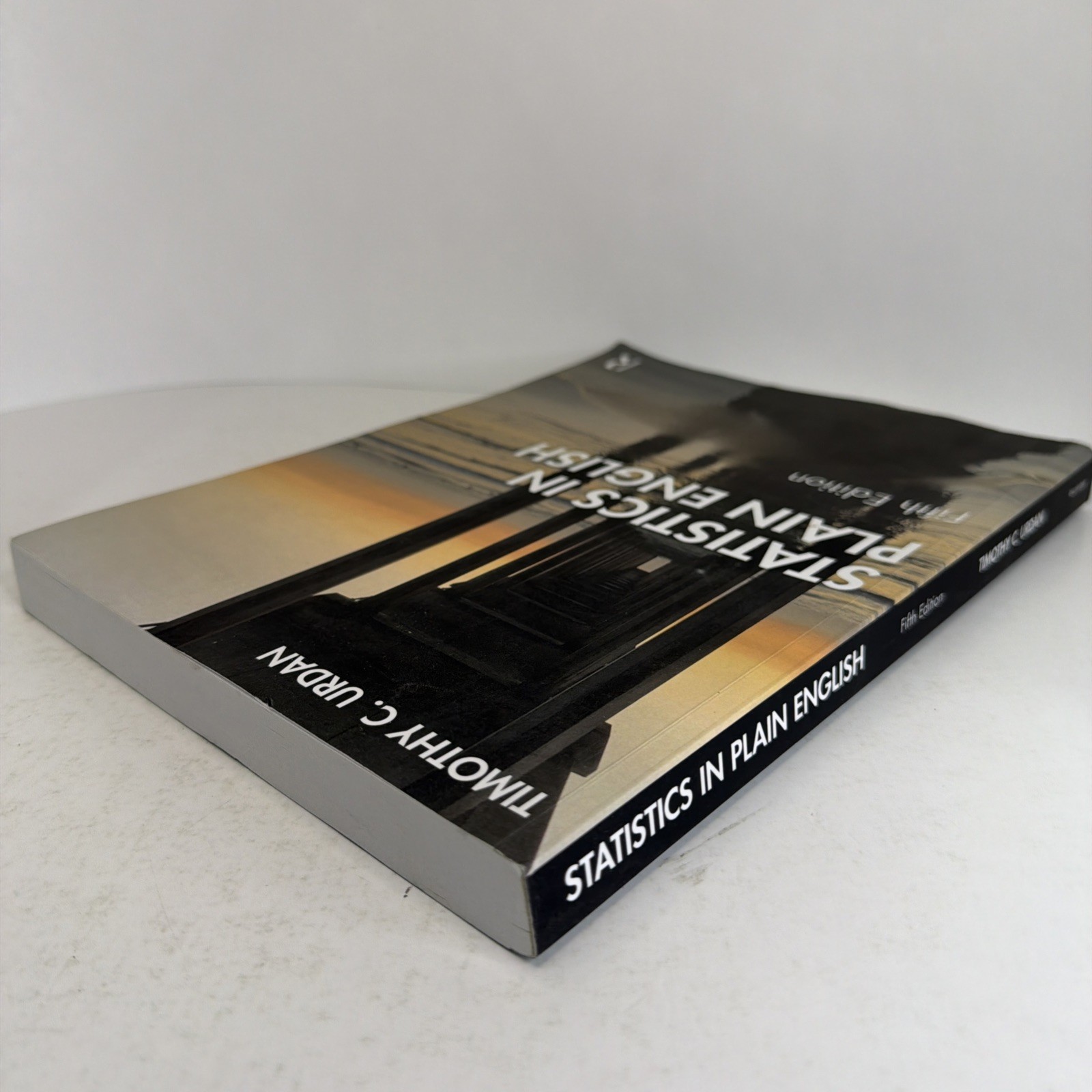 Statistics in Plain English 5th Edition 2022 Paperback