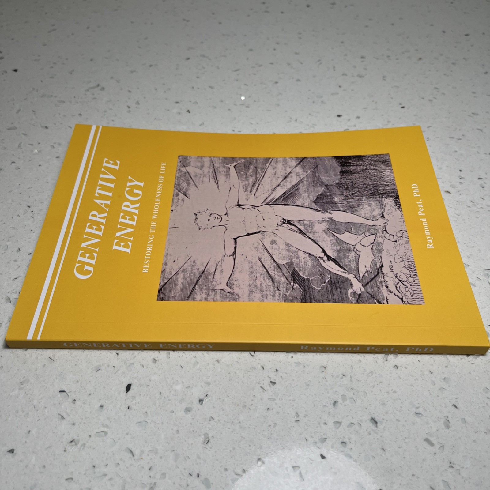 Generative Energy, Restore The Wholeness Of Life, Raymond Peat, PhD, Reprint New