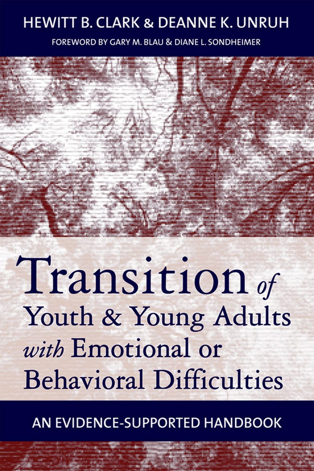 Transition of Youth and Young Adults with Emotional or Behavioral Difficulti…