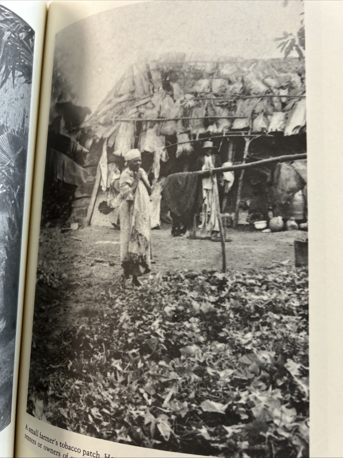 Slave Emancipation in Cuba: The Transition to Free Labor, 1860-1899 P1