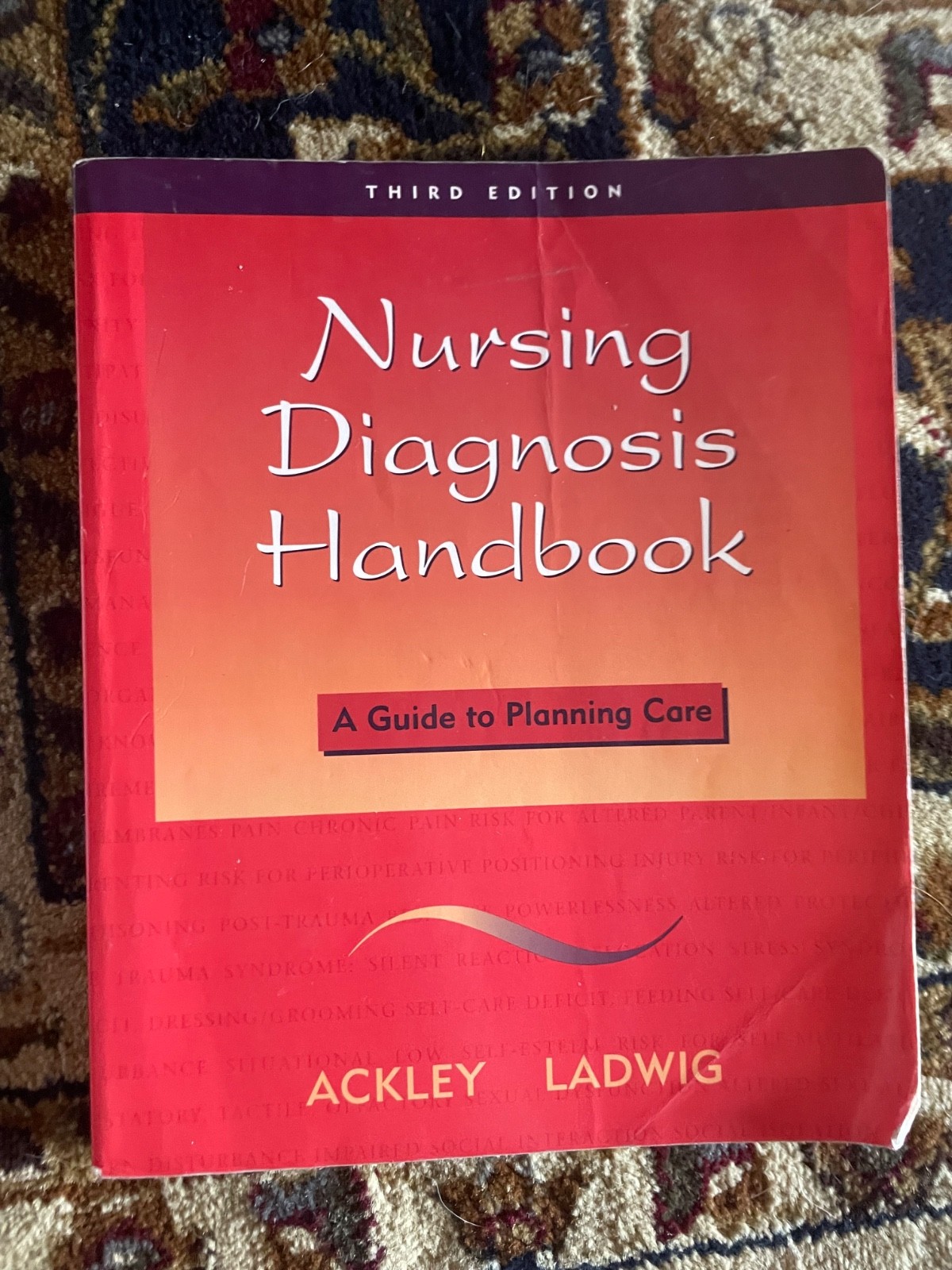 Nursing Diagnosis Handbook : A Guide to Planning Care by Gail B. Ladwig…