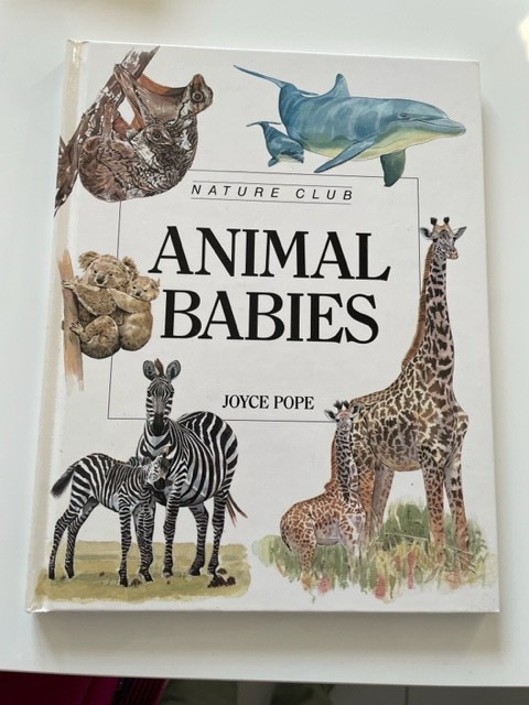 Nature Club – Books by Joyce Pope 1993