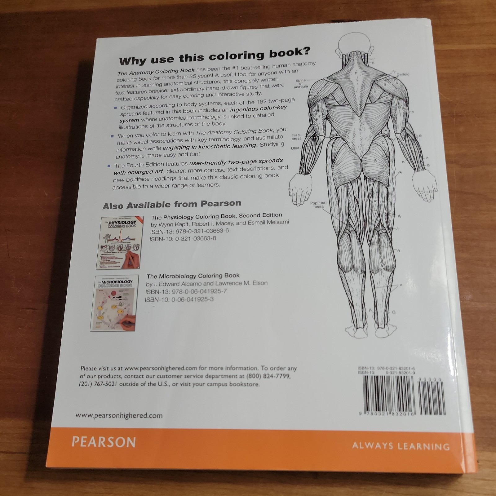 Anatomy Coloring Book by Wynn Kapit and Lawrence Elson