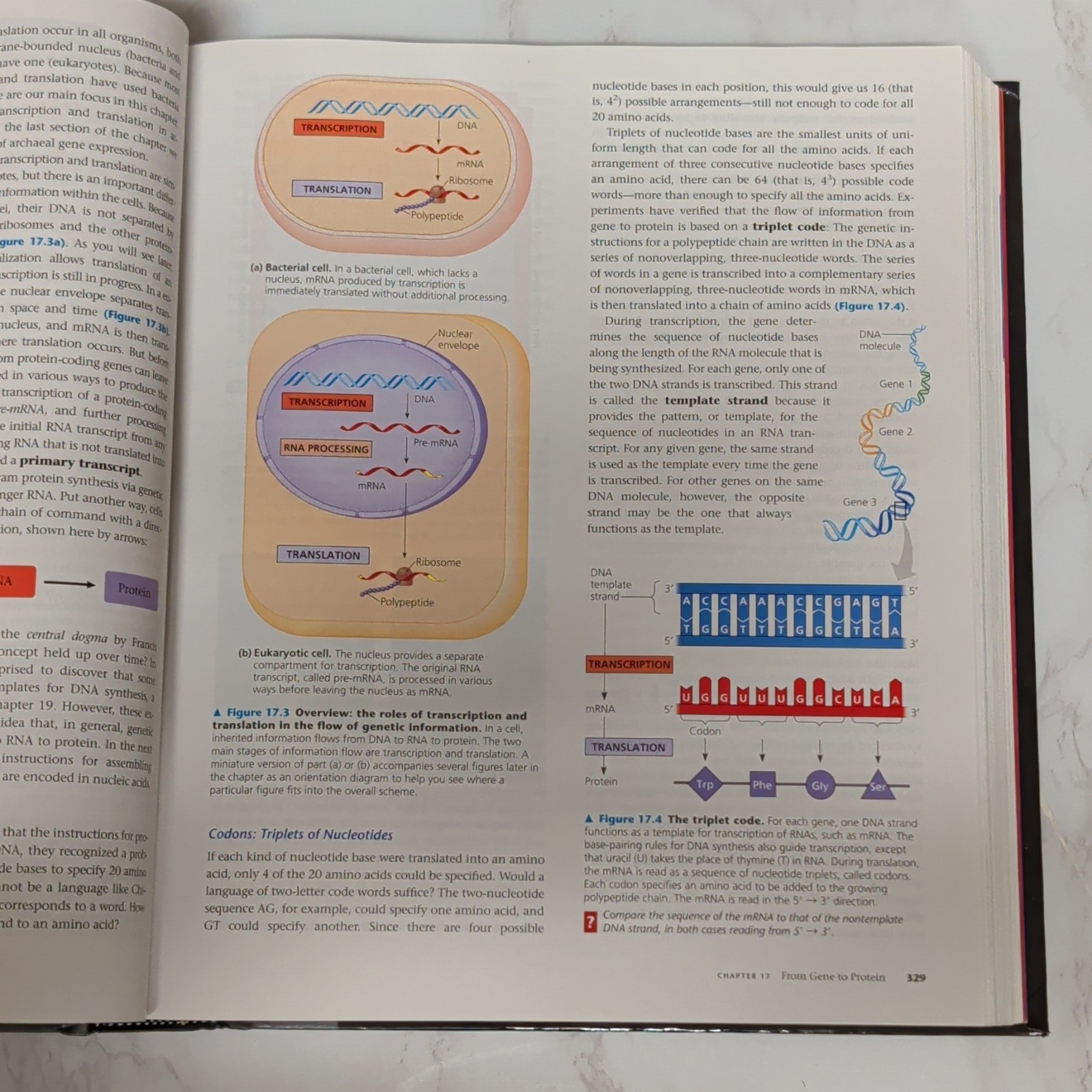 Benjamin Cummings Campbell Biology 9th Edition Hardcover Illustrated
