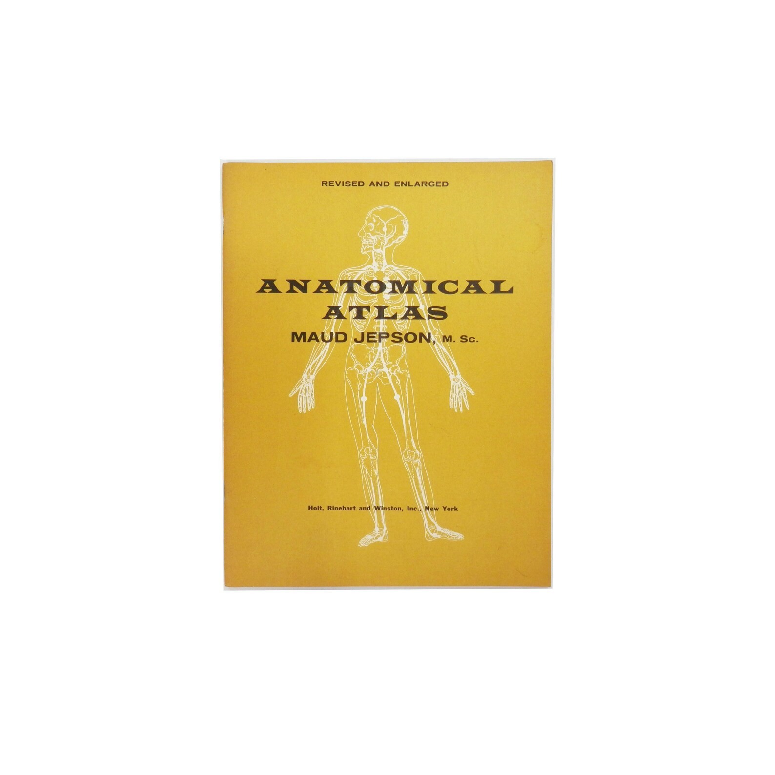 1958 Anatomical Atlas Maud Jepson, M. Sc. Book 24619-0118 Anatomy Drawing