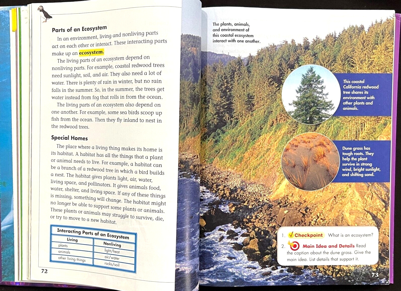 3rd Grade – Scott Foresman SCIENCE (STUDENT TEXTBOOK) (2006, Pearson)