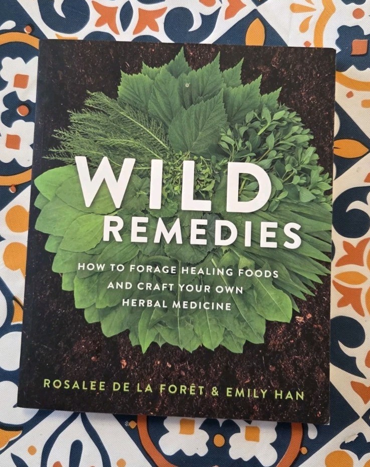 Wild Remedies Book Rosalie De La Foret And Emily Han Herbal Medicine Hay House
