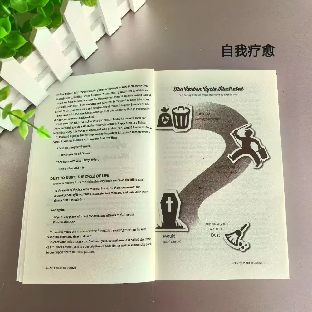 Self Heal By Design Book By Barbara O’Neill Worldwide International Shipping