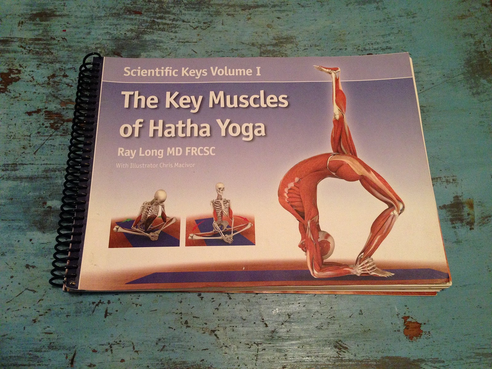 The Key Muscles of Hatha Yoga (Scientific Keys)