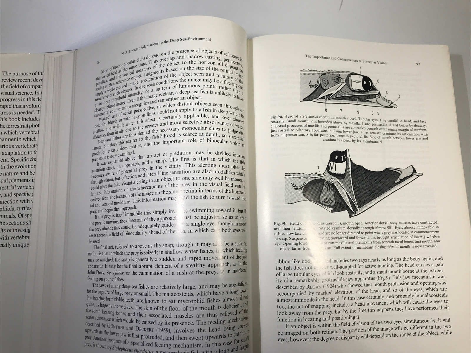 Handbook of Sensory Physiology Volume VII/5 The Visual System in Vertebrates