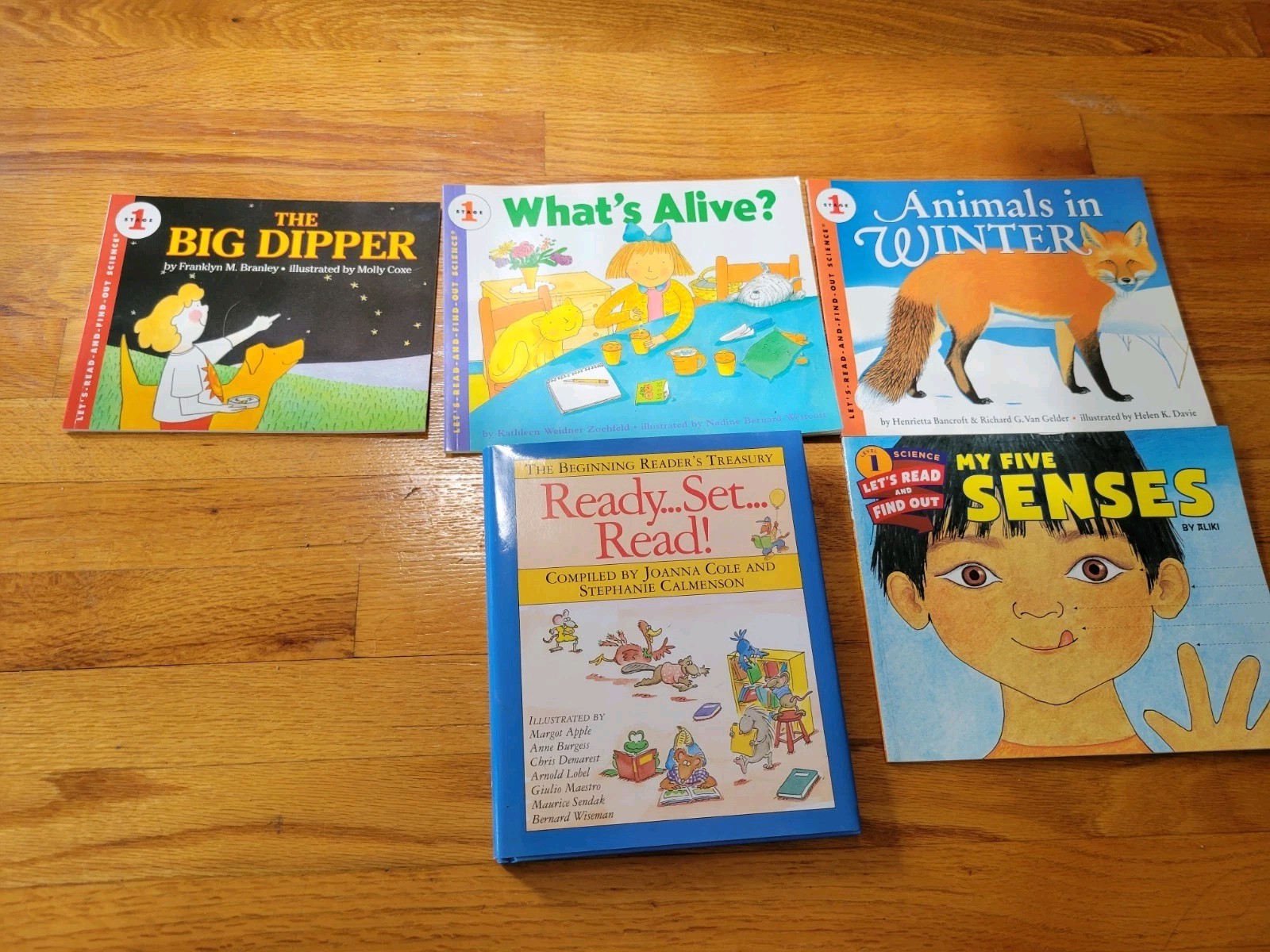 Lot Of 75 Learn To Read Books, Levels 0-4